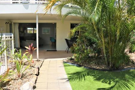 Noosa River Palms - 189