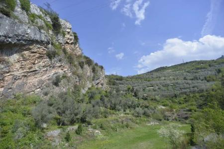 Seele Garda - 29