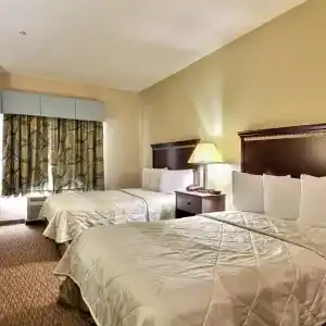 Magnolia Inn and Suites Pooler - 10