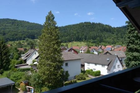 SchwarzwaldSonne - 38