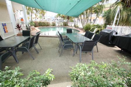 Colonial Rose - 12