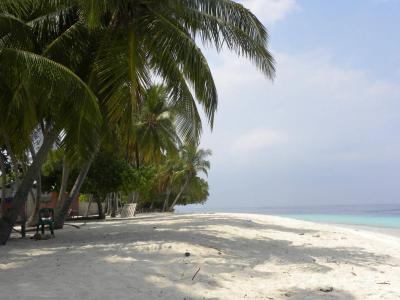 Madi Finolhu - 32