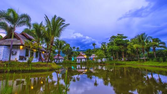 Bura Lumpai - 19