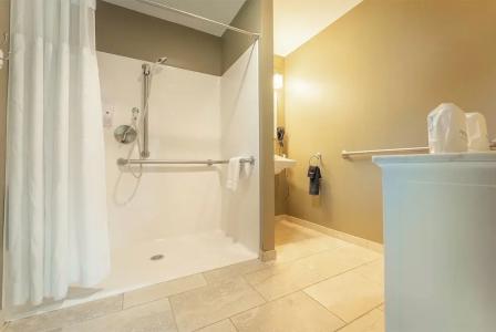 Sun & Ski Inn and Suites - 111