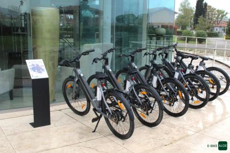 Pisa Tower Plaza - 25