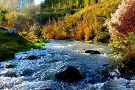 Puğari - 22