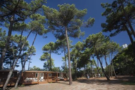 PuntAla Camp & Resort - 66