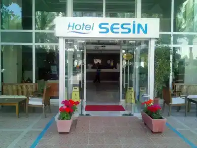 Sesin - 0