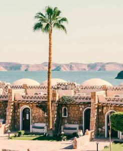 Seti Abu Simbel Lake Resort - 51