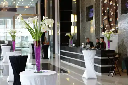 Riu Plaza Guadalajara - 27