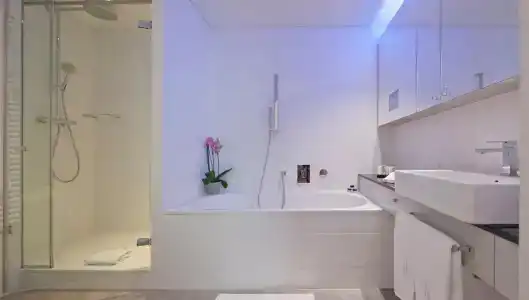 Swiss Luxury - 7