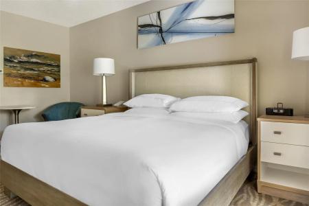 Hilton Grand Vacations Club SeaWorld Orlando - 49