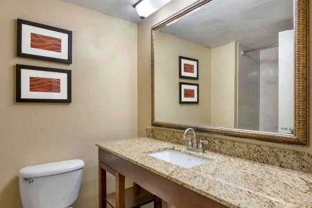 Comfort Inn International Drive - 10