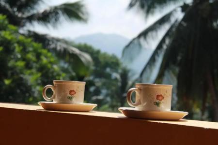 Anura Guest Inn - 28