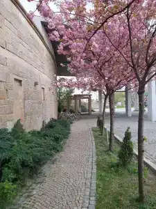 Sympozjum & Spa - 0