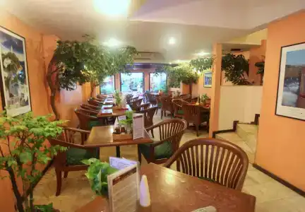 Paradise Inn - 27