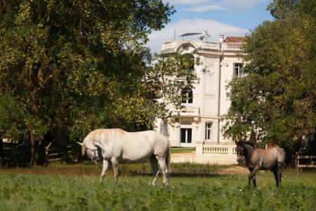 Domaine de Biar - 20