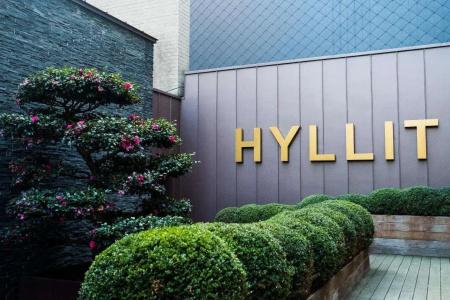 Hyllit - 1