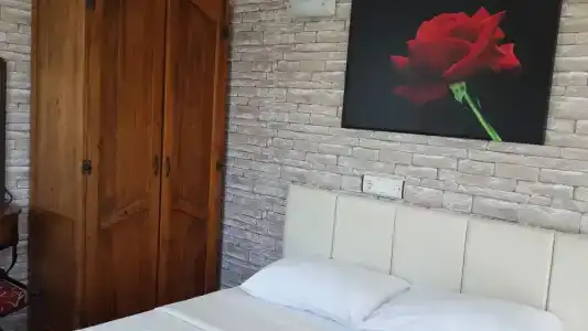 Dalyan Palmyra - 44