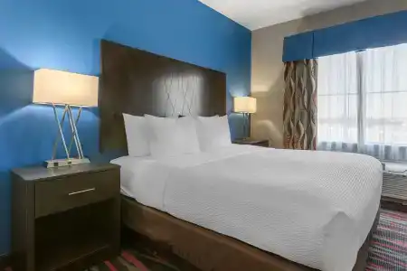 Best Western Plus Tech Medical Center Inn - 70