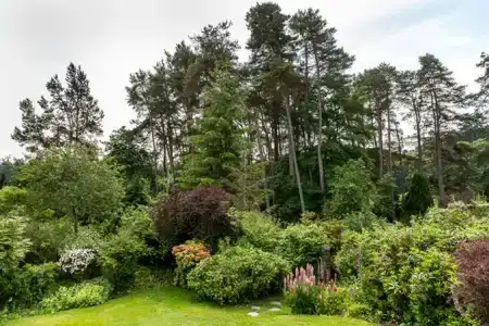 Loch Ness Country House - 6
