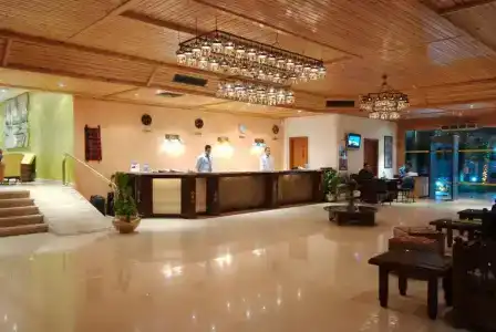 Falcon Naama Star - 1