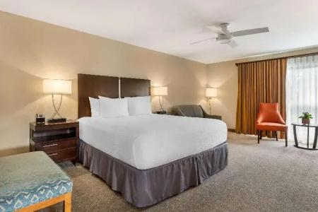 Best Western Plus Inn - 96