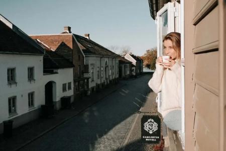 Gamlebyenl - - 13