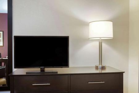 La Quinta Inn by Wyndham Miami Airport North - 5