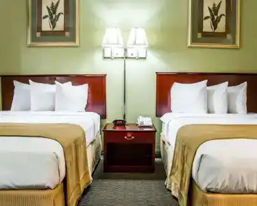 Quality Inn Airport - Cruise Port - 2