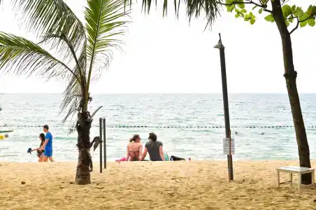 Sea Star Resort - 19