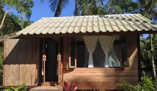 Jungle Koh - 75