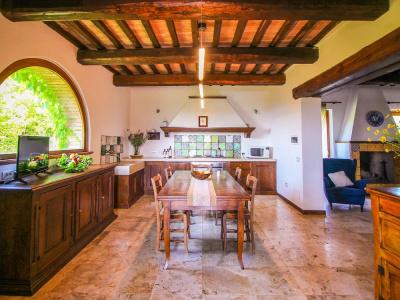 Agriturismo Boschi di Montecalvi - 232