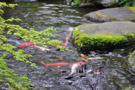 Yoshiike Ryokan - 28