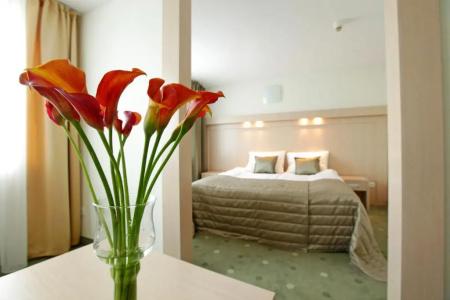 Cieplice Medi & Spa - 38