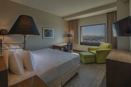 Holiday Inn Puebla La Noria, An Ihg - 18