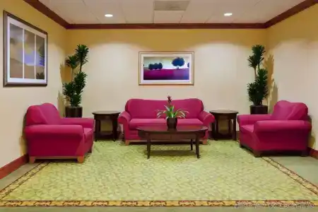 Holiday Inn Express St. Petersburg North / i-275, An Ihg - 1