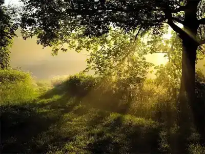 ParkWienburg Münster - 12