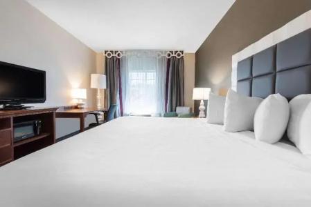 Erie Inn & Suites Solstice - 49