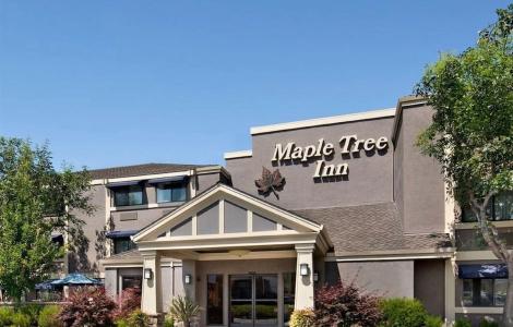 Maple Tree Inn - 0