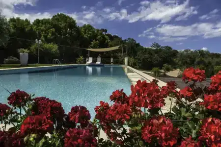 Tenuta Santatecla - 12
