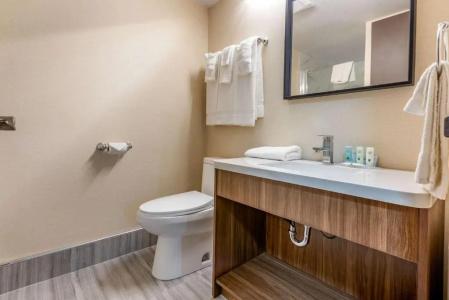 Quality Inn and Suites - 45