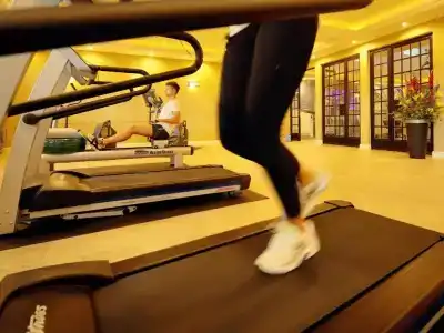 InselPotsdam - 10