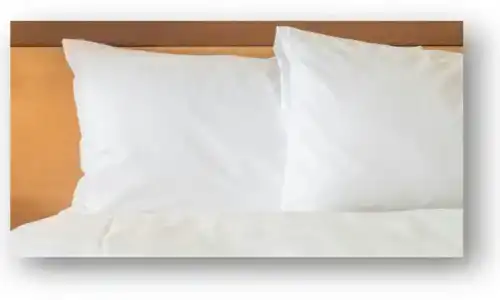 Holiday Inn Charleston-Riverview, An Ihg - 49