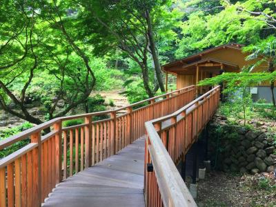 Izu Ajiro Onsen Shoufuen - 1