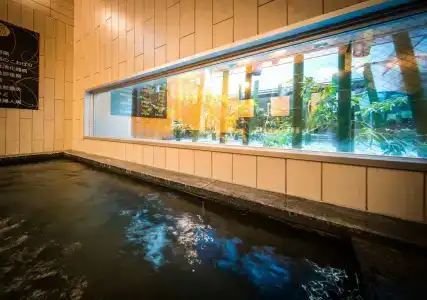 Natural Hot Spring Super Tottori Eki Kitaguchi - 15