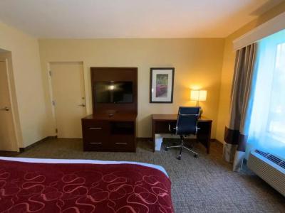 Comfort Suites North - 44