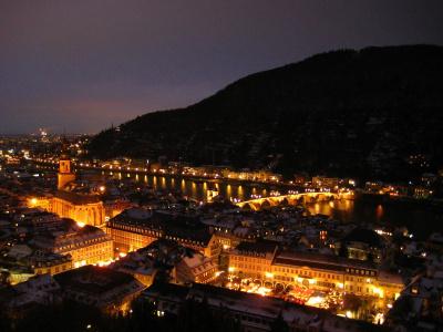 Wohlfühl-Neu Heidelberg - 14