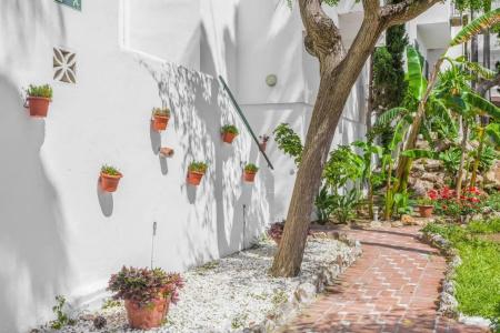 Royal Oasis Club at Pueblo Quinta By Diamond Resorts - 38