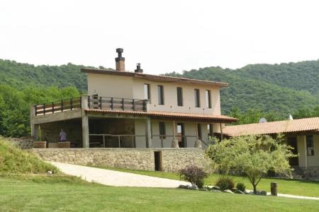 Babaneuris Marani - 93